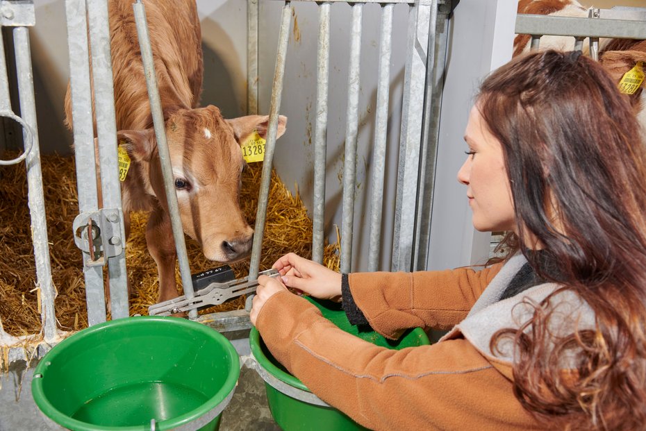 ET Innovation Award in Silber und Animal Welfare Award für Calf Monitoring System 